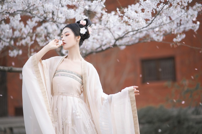 风骚律师 封面